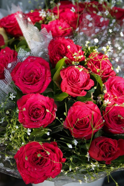 A close-up view of a floral bouquet featuring deep red roses with velvety petals, accented by small white filler flowers and lush green foliage. The roses are arranged in a dense, rounded bouquet, wit
