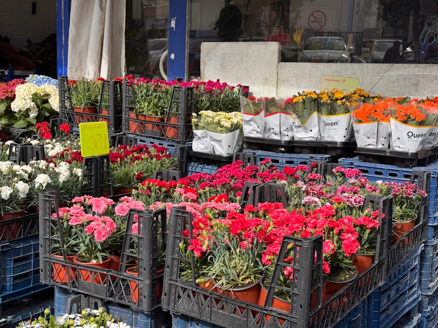 A display of potted flowering plants arranged in black plastic crates outside a flower shop. The arrangement features a variety of carnations in shades of pink, red, white, and purple, with some yello